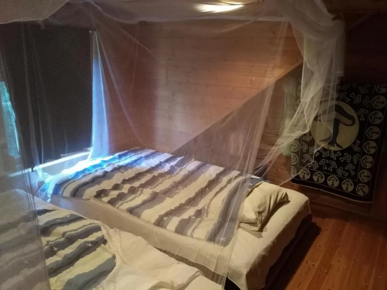 美瑛町 P-Dash Forest酒店 山林小屋
